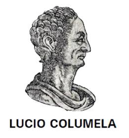 LUCIO COLUMELA