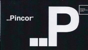 PINCOR. SERVICIOS INTEGRALES DE PINTURA