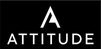 ATTITUDE