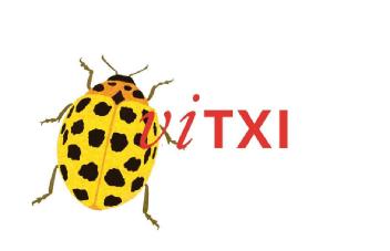 VITXI
