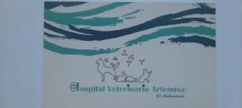 HOSPITAL VETERINARIO ARTEMISA EL CAÑAVERAL