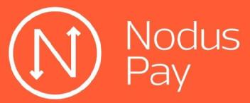 N Nodus Pay