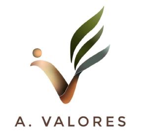 A.VALORES