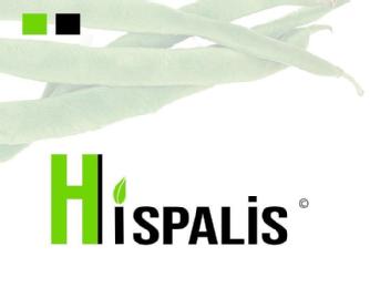 HISPALIS