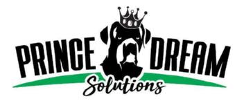 PRINCE DREAM SOLUTIONS