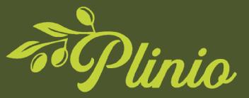 PLINIO