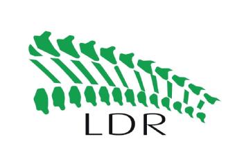 LDR