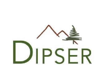 DIPSER