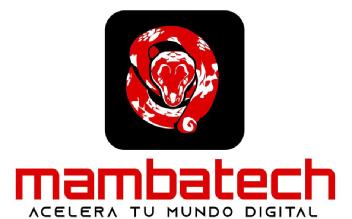 mambatech acelera tu mundo digital