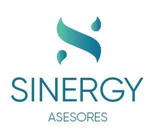 SINERGY ASESORES