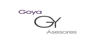 GOYA ASESORES