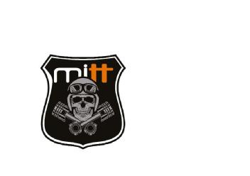 mitt