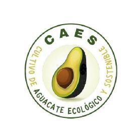 CAES CULTIVO DE AGUACATE ECOLÓGICO Y SOSTENIBLE