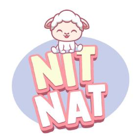 NIT NAT