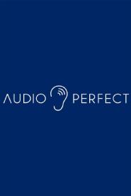 AUDIOPERFECT