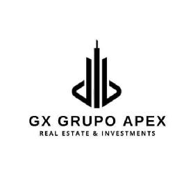 GX GRUPO APEX REAL ESTATE & INVESTMENTS