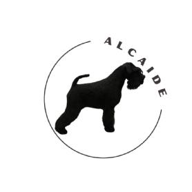 ALCAIDE
