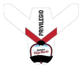 JAMONES DIEGO MARTIN PRIVILEGIO