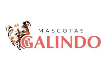 MASCOTAS GALINDO