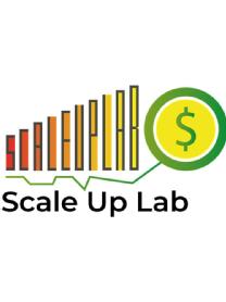 SCALE UP LAB