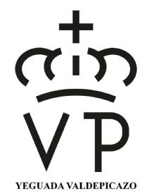 VP YEGUADA VALDEPICAZO