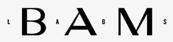 BAM LABS