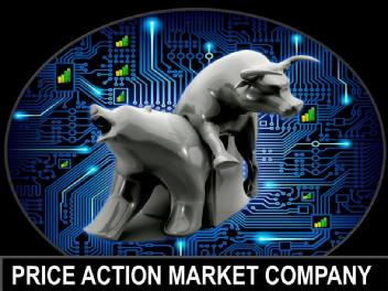PRICE ACTION MARKET COMPANY