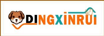 DINGXINRUI