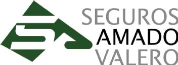 SEGUROS AMADO VALERO