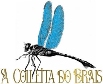 A COLLEITA DO BRAIS