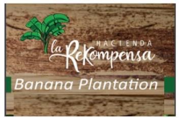 HACIENDA LA REKOMPENSA BANANA PLANTATION
