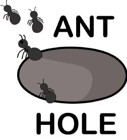 ANT HOLE