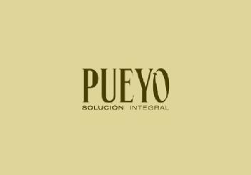 PUEYO SOLUCION INTEGRAL