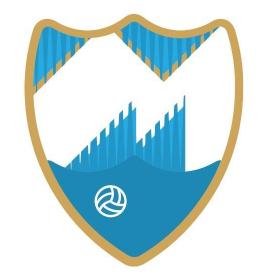 MALAGA METROPOLITAN SPORTS GROUP