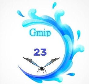 Gmip 23
