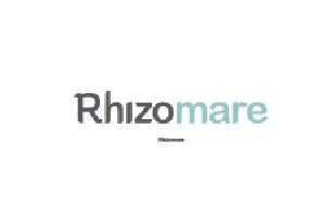 Rhizomare