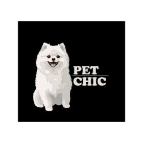 PET-CHIC