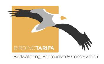 BIRDING TARIFA Birdwatching, Ecotourism & Conservation
