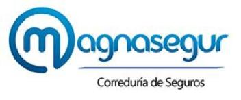 Magnasegur Correduría de Seguros