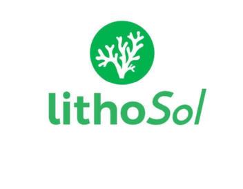 LITHOSOL