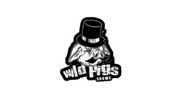WILD PIGS SHOWS