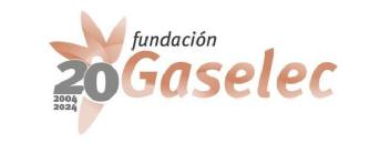 FUNDACION GASELEC 20 2004 2024