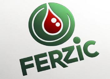 Ferzic