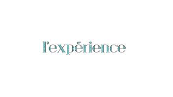 l'expérience