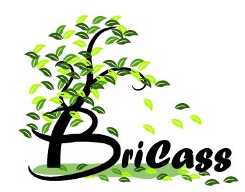 BRICASS