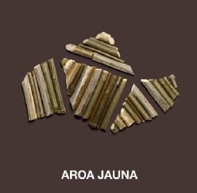 AROA JAUNA