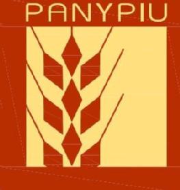 PANYPIU