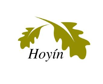 HOYIN