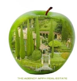 THE AGENCY APPH REAL ESTATE