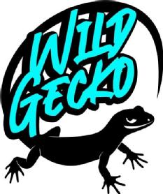 WILD GECKO